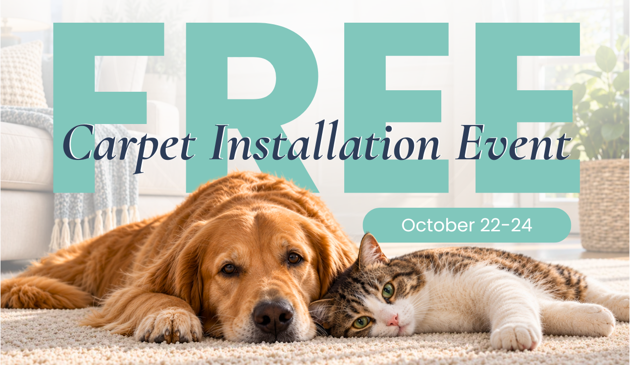 Free Carpet Installation Event