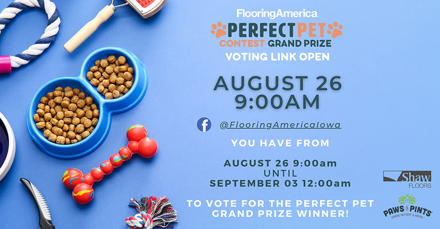 Perfect Pet Contest