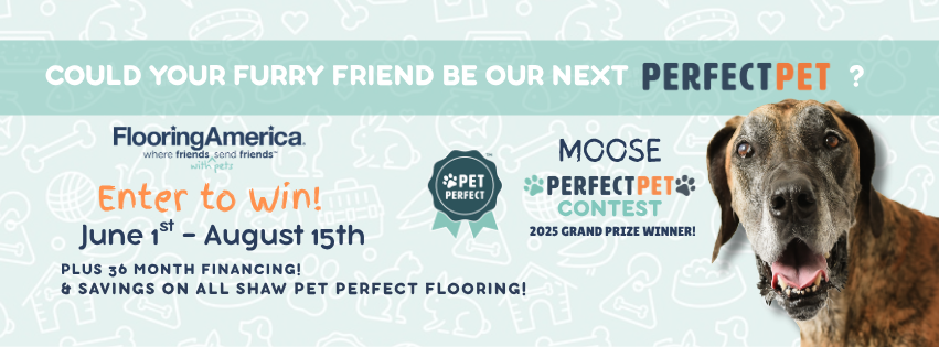 Perfect Pet Contest 6/1-8/15