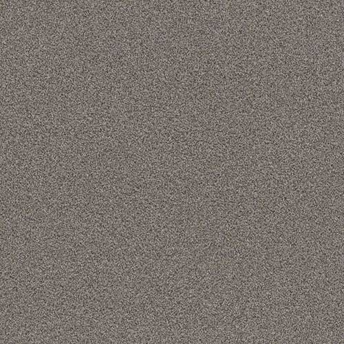 Fossil Path color swatch and room scene