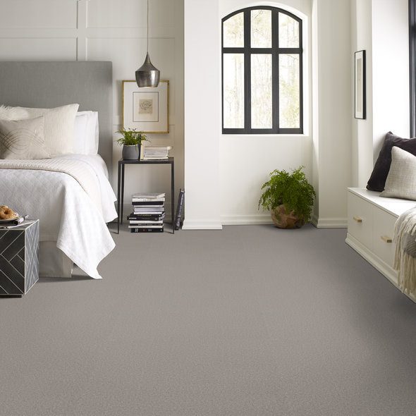 Greige Carpet Room Scene