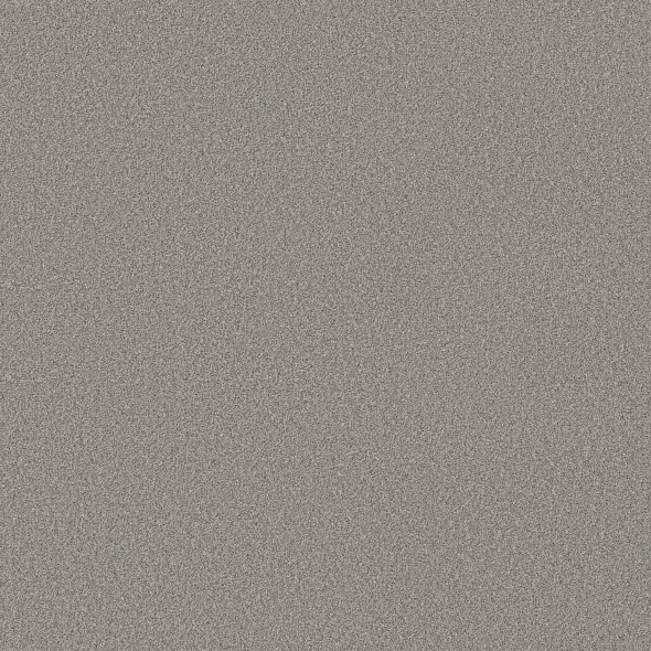 Greige Carpet Swatch