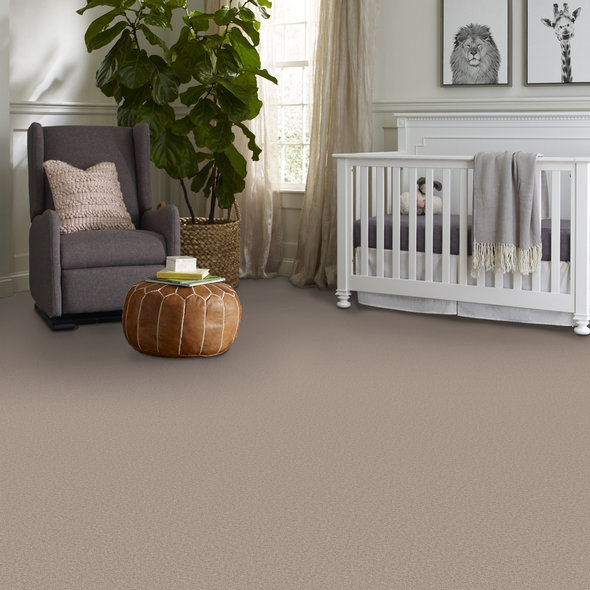 Baja Carpet Room Scene