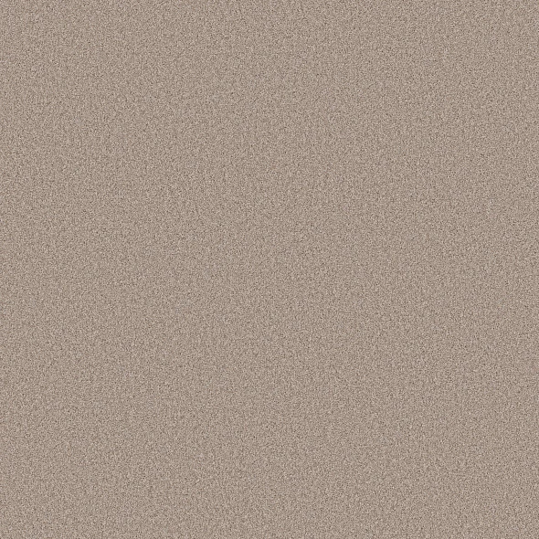 Baja Carpet Swatch