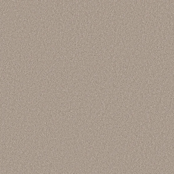 Chic Taupe Carpet Swatch