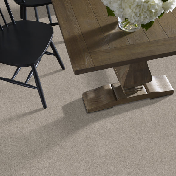 Marble Carpet Room Scene