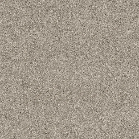 Marble Carpet Swatch