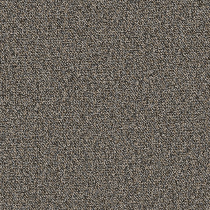 Jackson Carpet Swatch