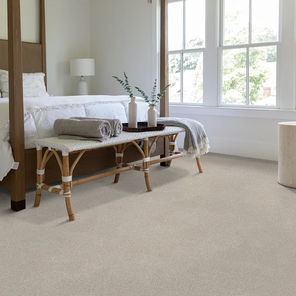 Beige Mist Carpet Room Scene