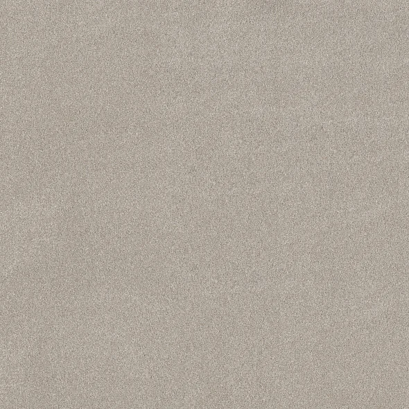 Beige Mist Carpet Swatch