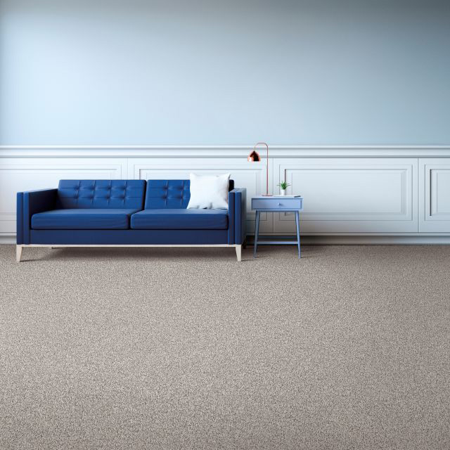 Portrait Carpet Room Scene