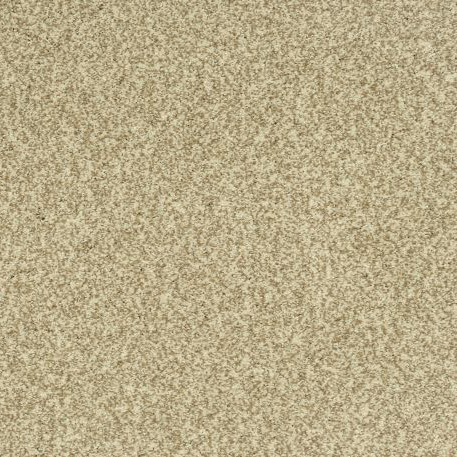 Portrait Carpet Swatch