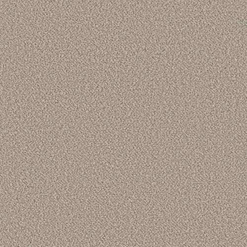 Misty Morning color swatch and room scene