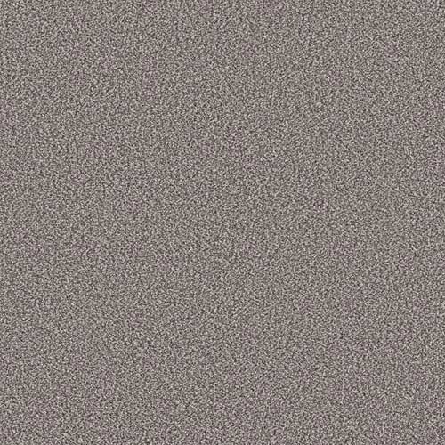 Stainless color swatch and room scene