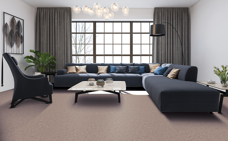 beige carpet in moody modern living room